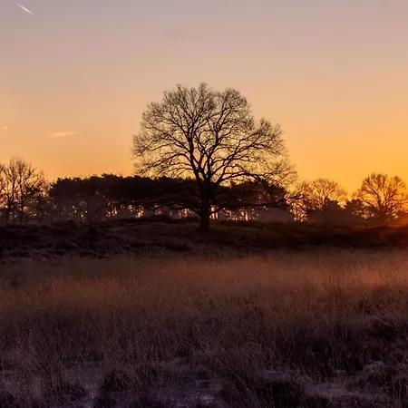 Cozy Tiny In Oisterwijkse Bossen & Vennen Moergestel