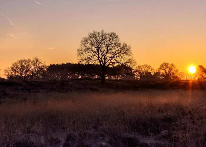 Cozy Tiny In Oisterwijkse Bossen & Vennen Moergestel