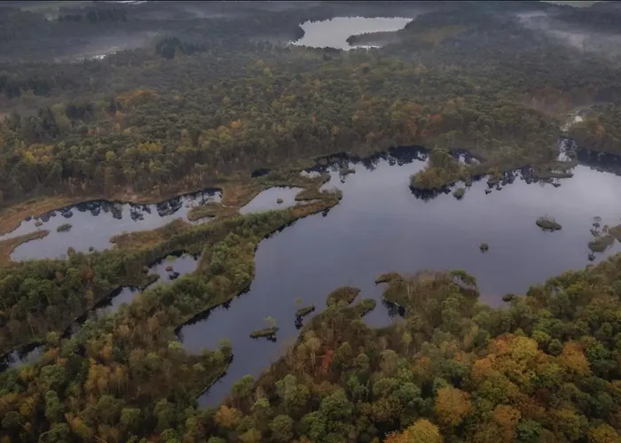 Cozy Tiny In Oisterwijkse Bossen & Vennen Appartement Moergestel