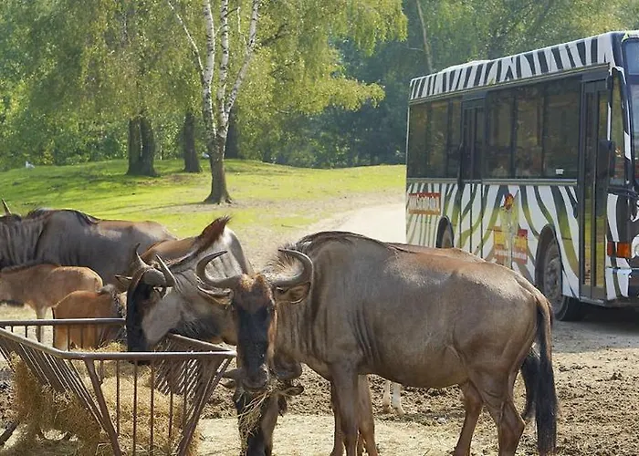 Cozy Tiny In Oisterwijkse Bossen & Vennen Moergestel