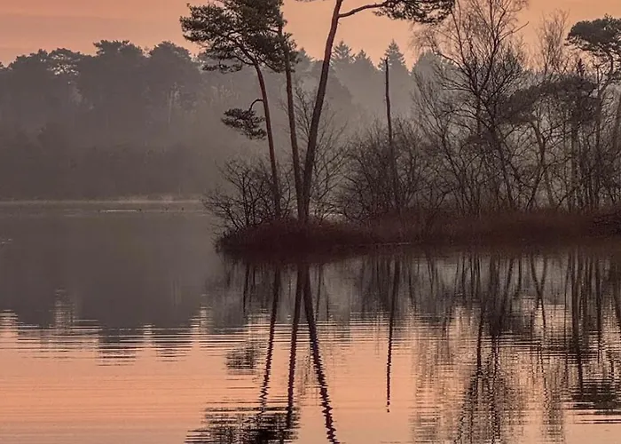Cozy Tiny In Oisterwijkse Bossen & Vennen Appartement