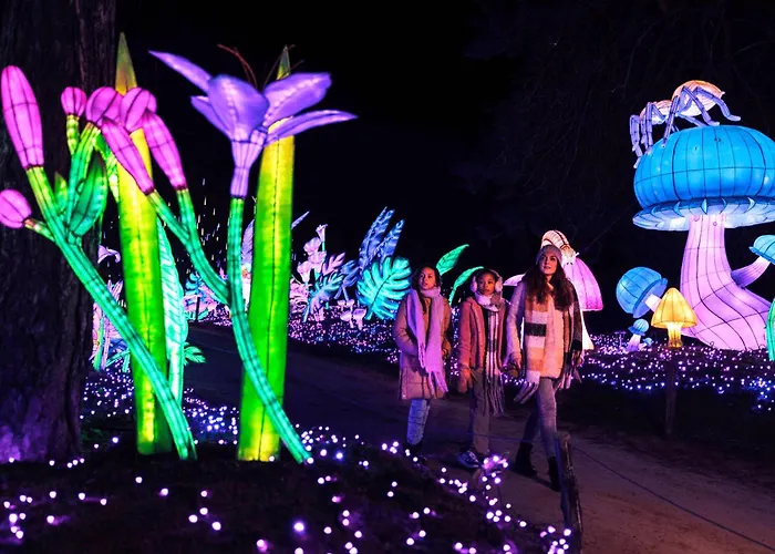 Διαμέρισμα Cozy Tiny In Oisterwijkse Bossen & Vennen Moergestel