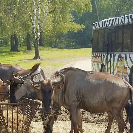 Cozy Tiny In Oisterwijkse Bossen & Vennen Moergestel