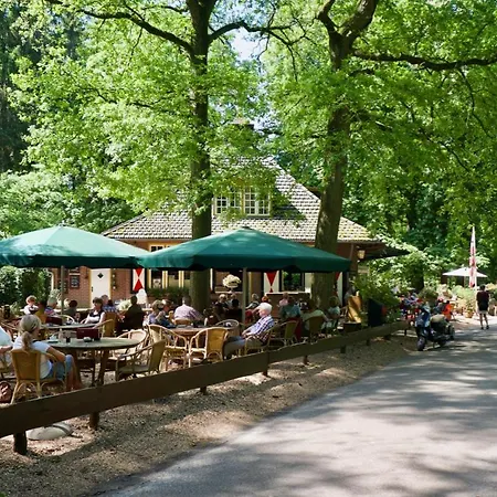 Cozy Tiny In Oisterwijkse Bossen & Vennen Moergestel