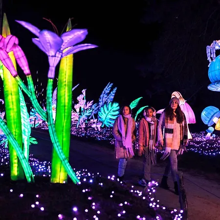 Apartmán Cozy Tiny In Oisterwijkse Bossen & Vennen Moergestel