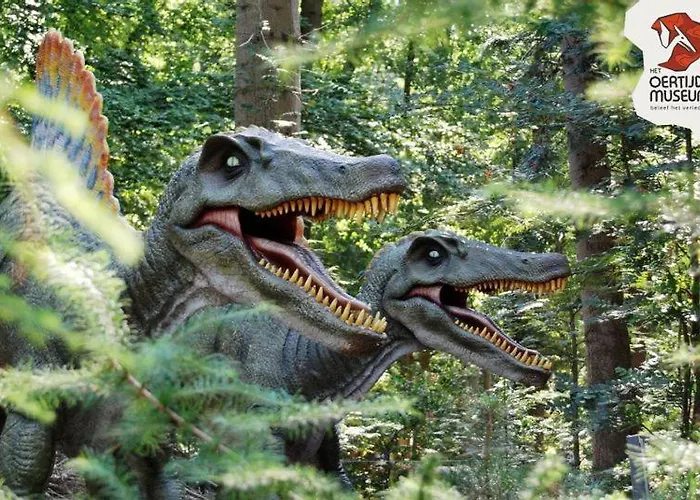 Cozy Tiny In Oisterwijkse Bossen & Vennen Apartament