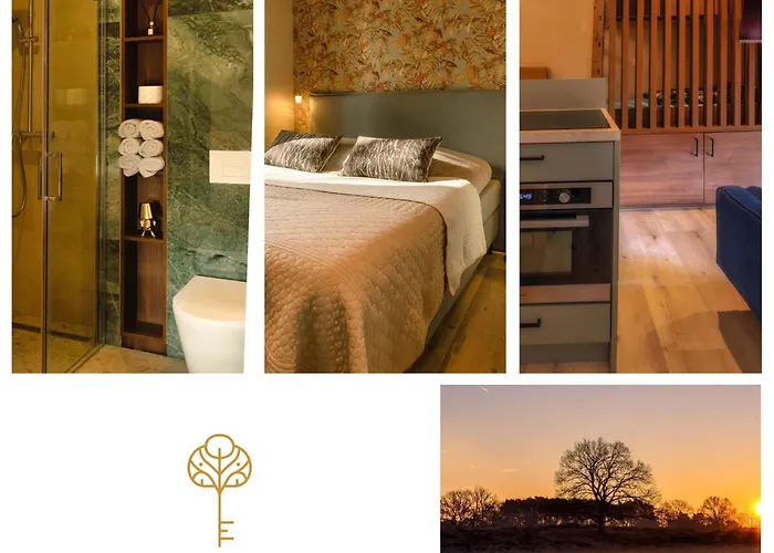 Cozy Tiny In Oisterwijkse Bossen & Vennen